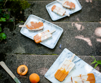 joghurt popsicles mit kardamom und gerösteten honig aprikosen