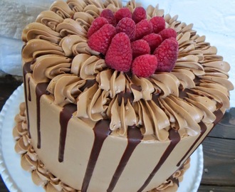 Double Chocolate and Raspberry Cake