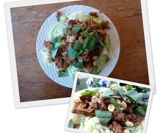 Fast food my way 5; Asian cabbage salad with minced chicken