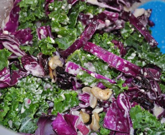 #1,264: Kale and Cabbage Salad with Creamy Honey Mustard Dressing