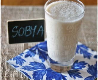 Sobya…un ultimo drink egiziano di latte e cocco prima di partire per il freddo Antartide – Sobya…a last egyptian drink with milk and coconut before we move to Antarctica