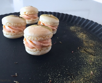 Salzige Lachs-Macarons – Verfeinert mit Dill und Fleur de Sel