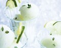 Placeres adultos I: Helado de gin tonic