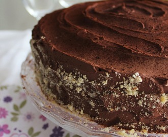 Torta od lješnjaka i čokolade / Chocolate Hazelnut Dacquoise Cake