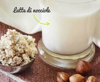 Latte di nocciole: proprietà e ricetta per farlo in casa