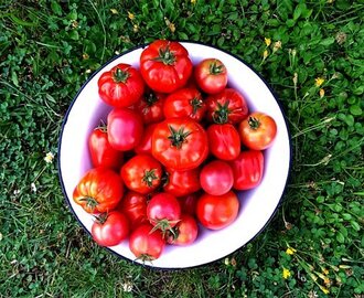 Jak zrobić idealny sos pomidorowy?