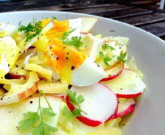Eier Salat auf Apfel-Radieschen