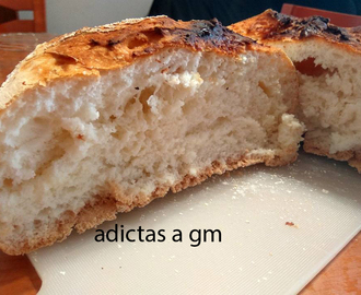Pan sin gluten en Olla GM mod. G y cecomix