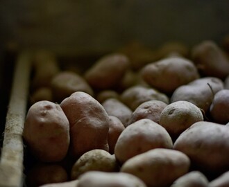 Popečci od krumpira i hrena