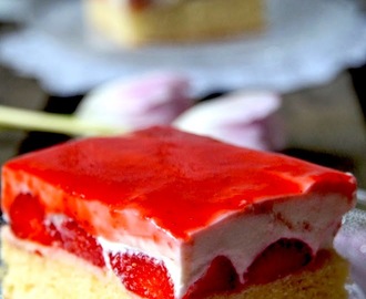 *Rezension* 'Fabelhafte Blechkuchen' und feine Joghurt-Erdbeer-Schnitten