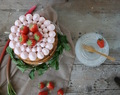 ʷᵉʳᵇᵘᶰᵍ Erdbeer-Rhabarber Törtchen mit Exquisa-Frischkäse