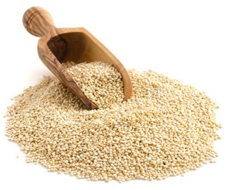 Es muss nicht immer Weizen sein – Quinoa im Kurzporträt