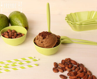 Veganes Avocado Schokolade Maca Superfood Eis & meine neue Eismaschine Unold de Luxe