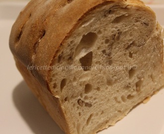 Pane in cassetta con semi di girasole e lievito madre