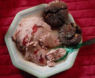 Domácí čokoládová zmrzlina s borůvkami