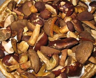 Smetanová houbová omáčka ze suchohříbků, s vařenými mini brambory