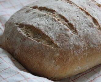Vaivaamatonta leipää (No-Knead Bread)