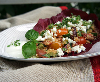 Quinoa Salat griechische Art und Vorstellung Degustabox