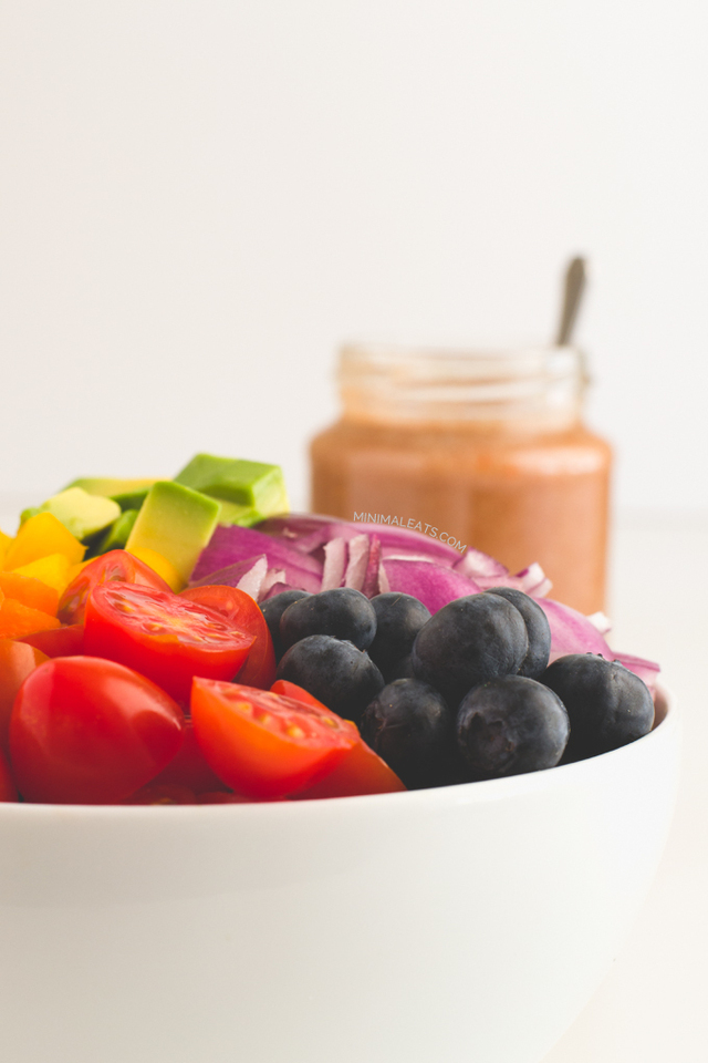 Rainbow Salad with Low Fat Raw Vegan Dressing