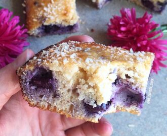 Blueberry Coconut Protein Bars