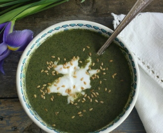 Cold nettle soup with Greek yoghurt