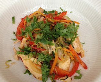 Varm vietnamesisk inspireret kyllinge salat