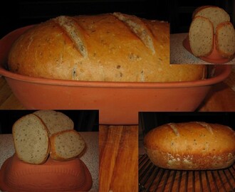kváskový chleba pečený v římském hrnci od Andulka - celokváskový