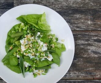 Zomerse Groene Salade met Bonen en Ricotta