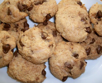 Graham Cracker Chocolate Chip Cookies