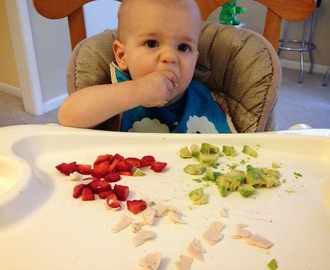 Feeding Our Paleo Baby: A 12-Month Update and a Recipe for Paleo Baby Popsicles