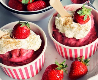 Schnelles Erdbeer Frozen Yogurt - Erdbeer- & Rhabarberzeit (3)