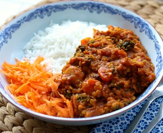 Vegan lentil stew with collard