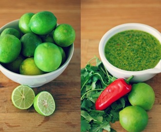 Coriander Pesto with Chilli & Lime