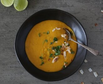 bitsofcarey wrote a new post, Thai Pumpkin Soup, on the site Bits of Carey