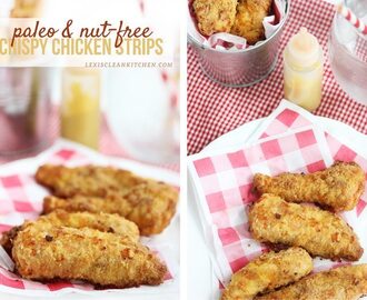 Paleo {& Nut-Free} Crispy Chicken Tenders & A Healthy Back To School Menu
