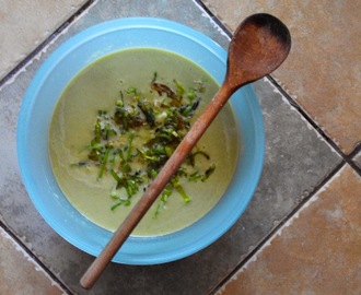 Krémová pórková polévka / Creamy Leek Soup