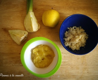 Krem z kopru włoskiego z jabłkiem i ryżem/Fennel cream with apple and rice
