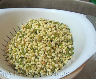 How to Make Your Own Mung Bean Sprout