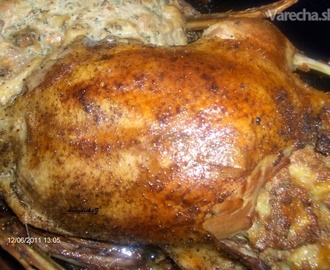 Pečená kačica s plnkou (fotorecept)