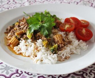 Färsgryta thai curry
