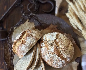 Pane rustico con farina antica di grano Verna semi di girasole e fiocchi d'avena