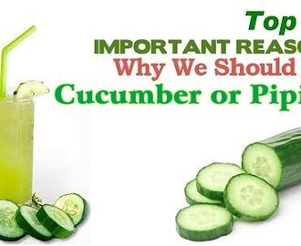 Top 10 Health Benefits of Cucumber or Pipino