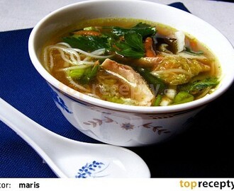PHO GA - vietnamská kuřecí polévka