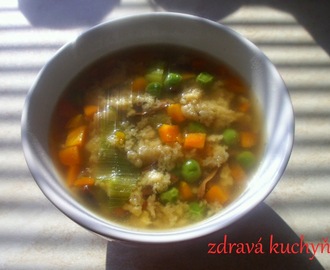 Zeleninová polévka s celozrnným kapáním