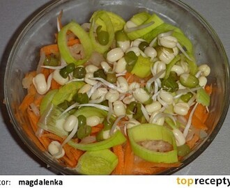 Salát z kysaného zelí s naklíčenou čočkou (mungem)