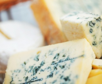 Сыр с плесенью или рассказ о том, что не вся плесень полезна