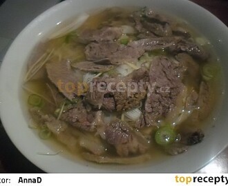 Vietnamská nudlová polévka s hovězím masem