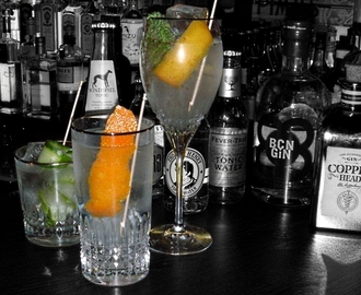 Die richtigen Gläser für Gin & Tonic
