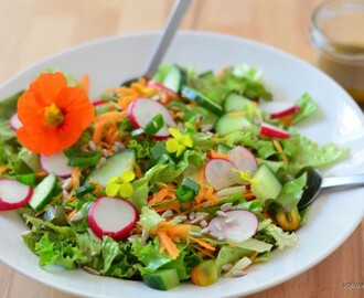 Salatvielfalt: Leitfaden für einen gemischten Salat – dem heimlichen Star unserer Ernährung