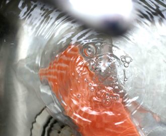 Sous-vide zum Selberbauen: Zartester Lachs, im Spülbecken gegart